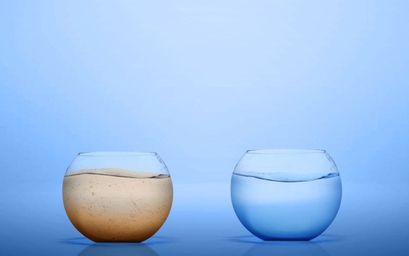 水が腐る2つの原因