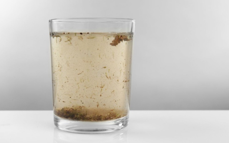 水が腐るとはどんな状態?